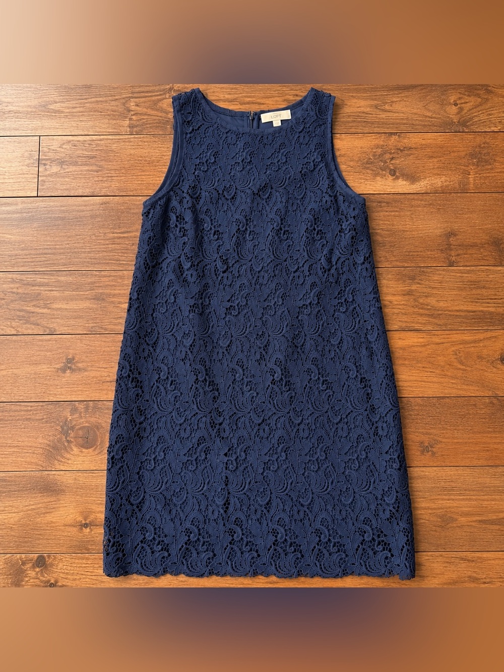LOFT 14P Navy Lace Dress π